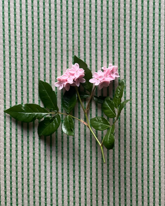 Botanical Study Earrings