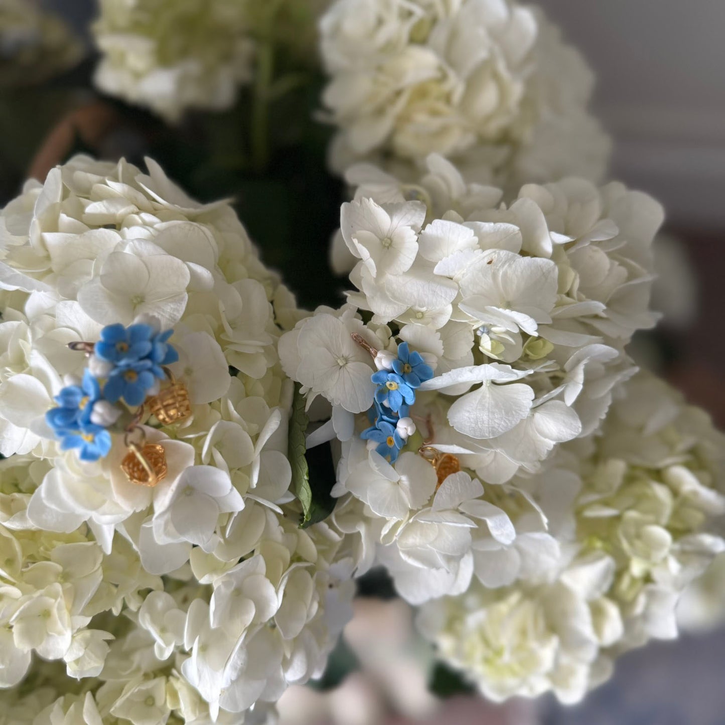 Nantucket Forget Me Knot