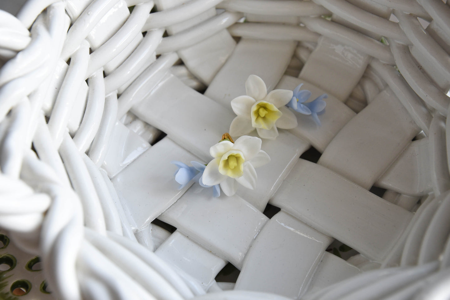 Spring Daffodil