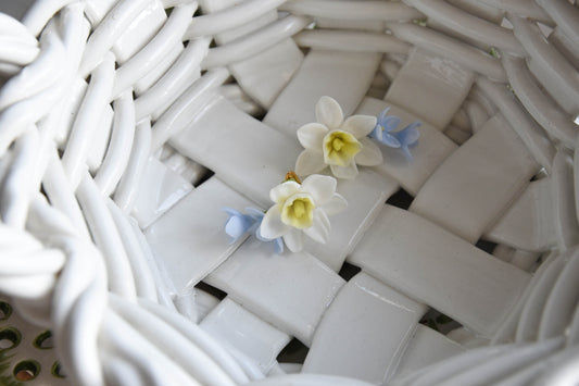 Spring Daffodil